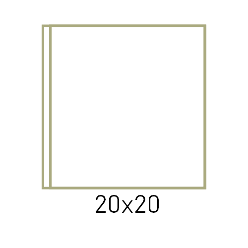 20x20